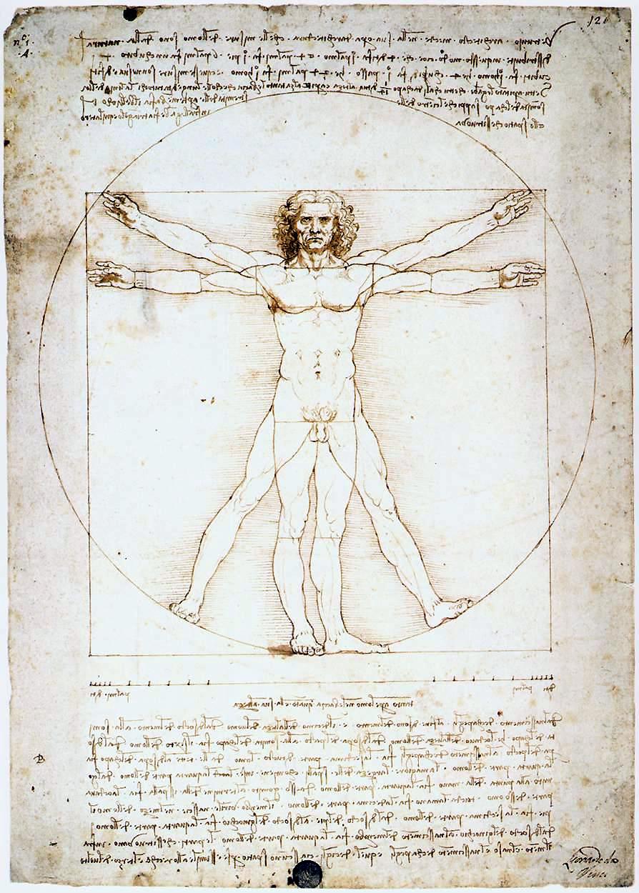 vitruvian man wallpaper 1280x800