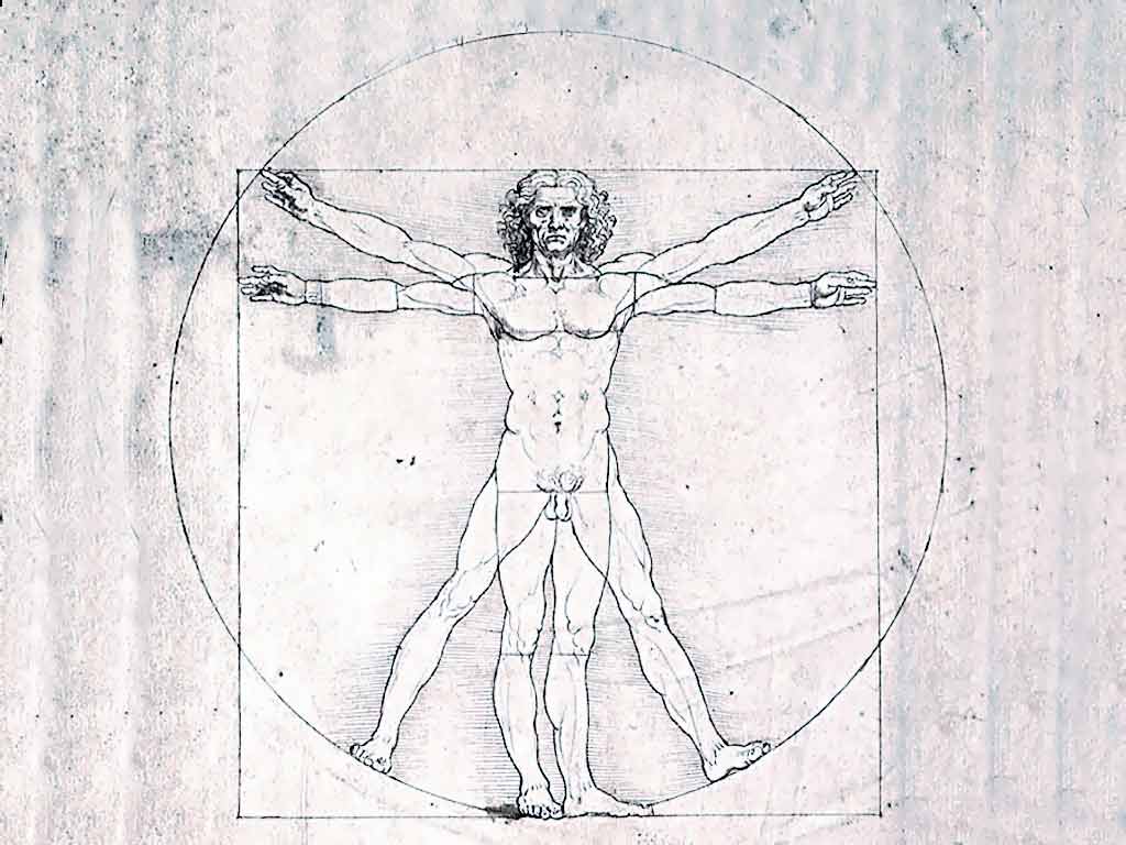 vitruvian man wallpaper 1280x800