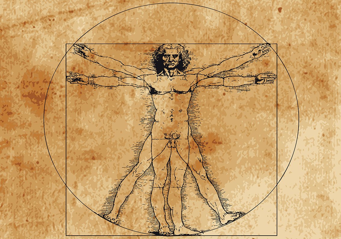 THE VITRUVIAN MAN Da Vinci Woven Auto Adhesive Amovible Papier Peint M