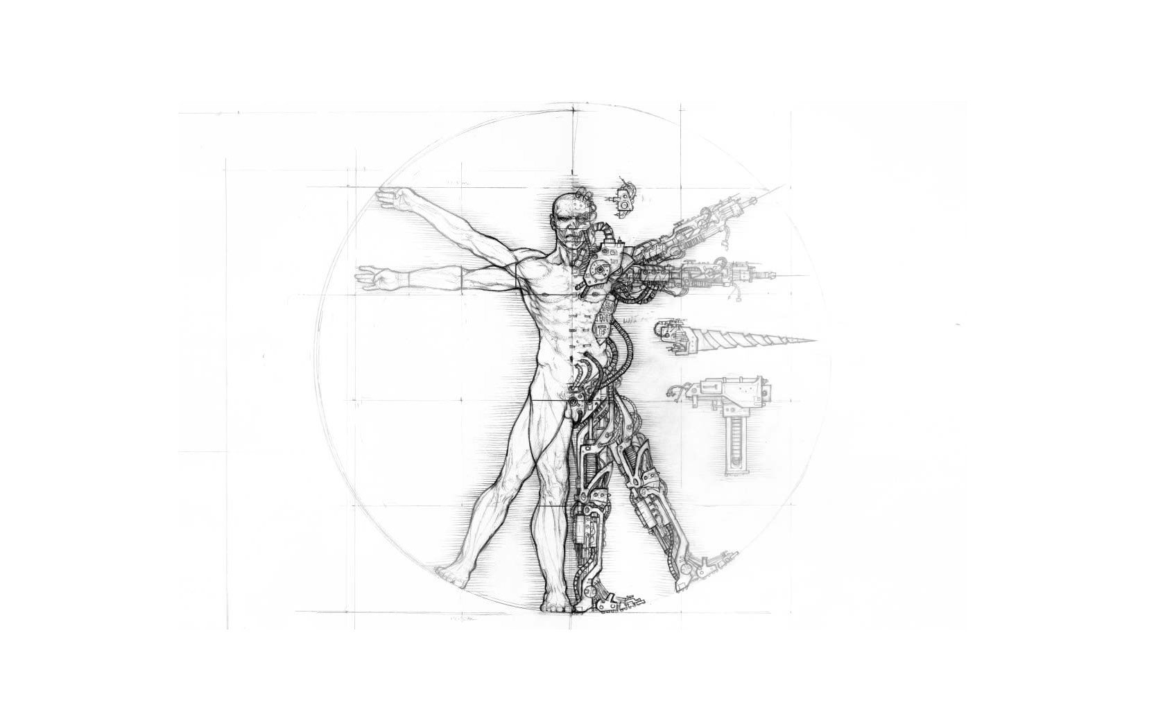 men, Vitruvian, Man, Leonardo, Da, Vinci Wallpaper HD / Desktop and Mobile Background
