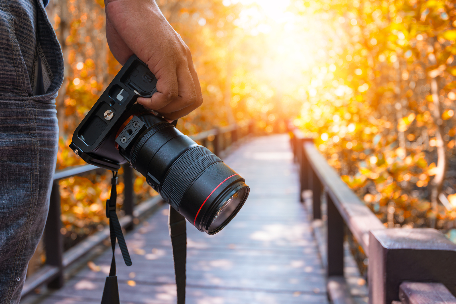 Photographer, Camera On Hand Camera Photo Editing HD Wallpaper