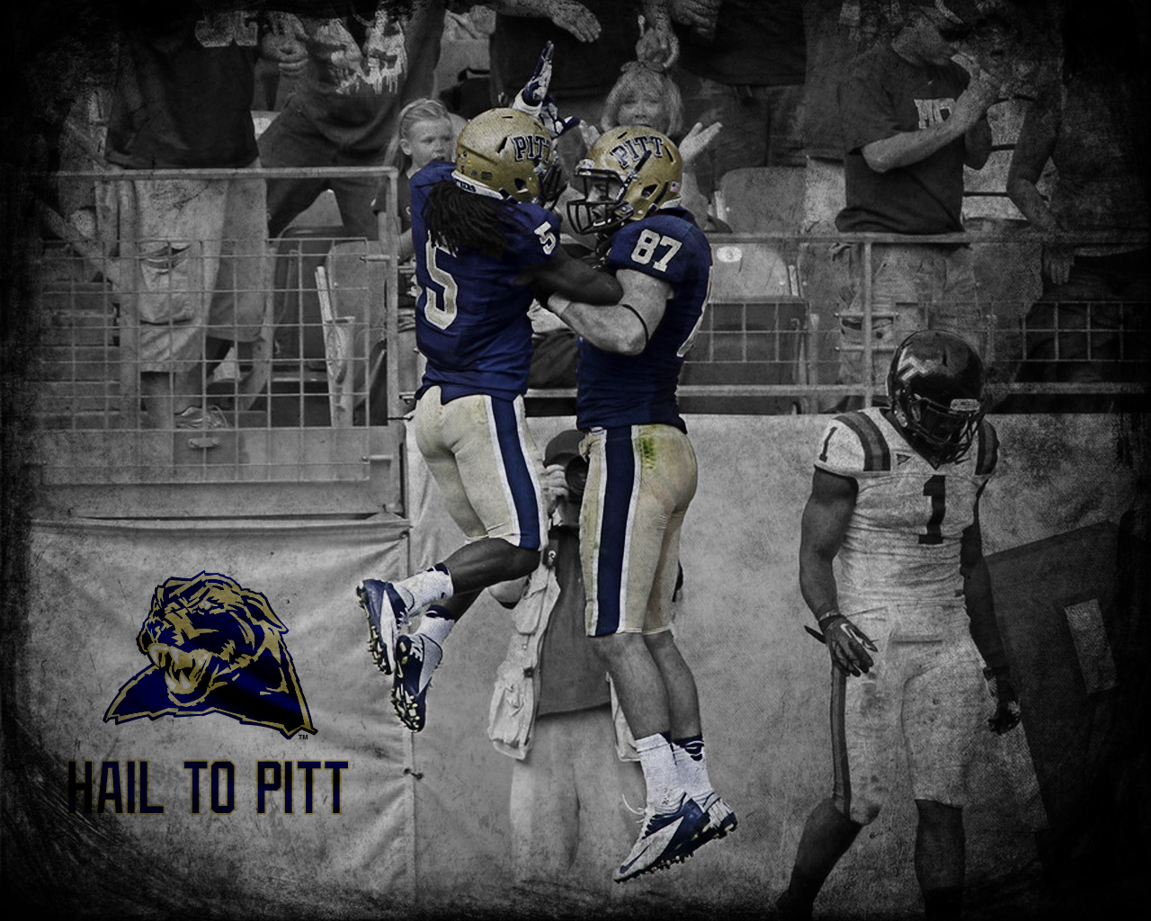 Pitt Panthers Wallpaper