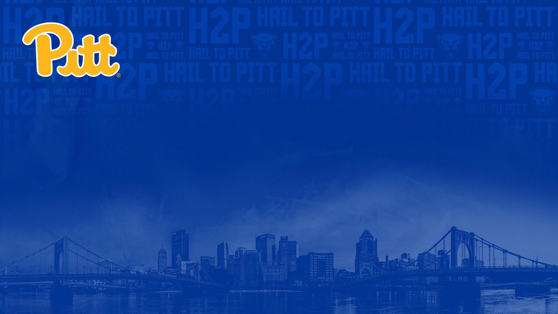 Pitt Zoom Background Panthers #H2P