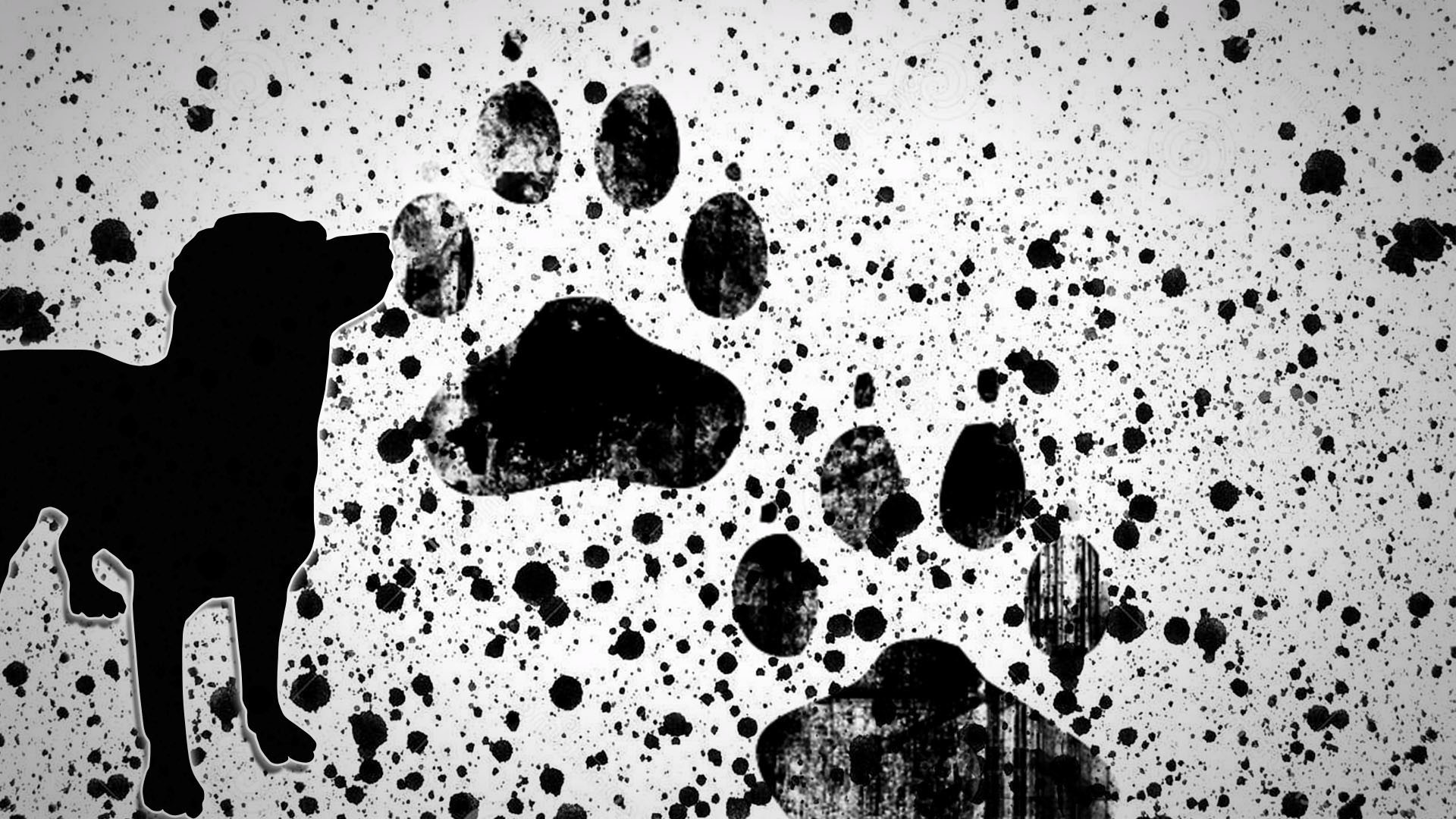 Dog Paws Wallpapers - Wallpaper Cave