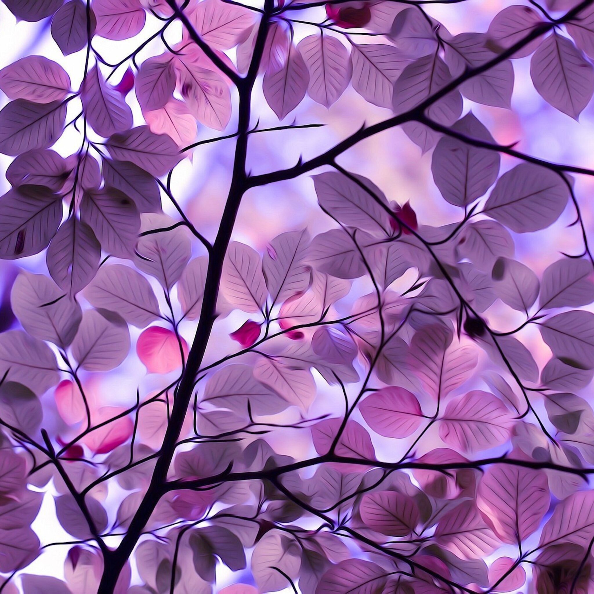 Purple Leaves iPad Air HD 4k Wallpaper, Image, Background, Photo and Picture