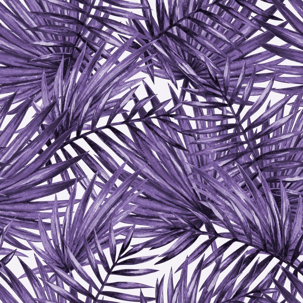 Violet Wallpaper