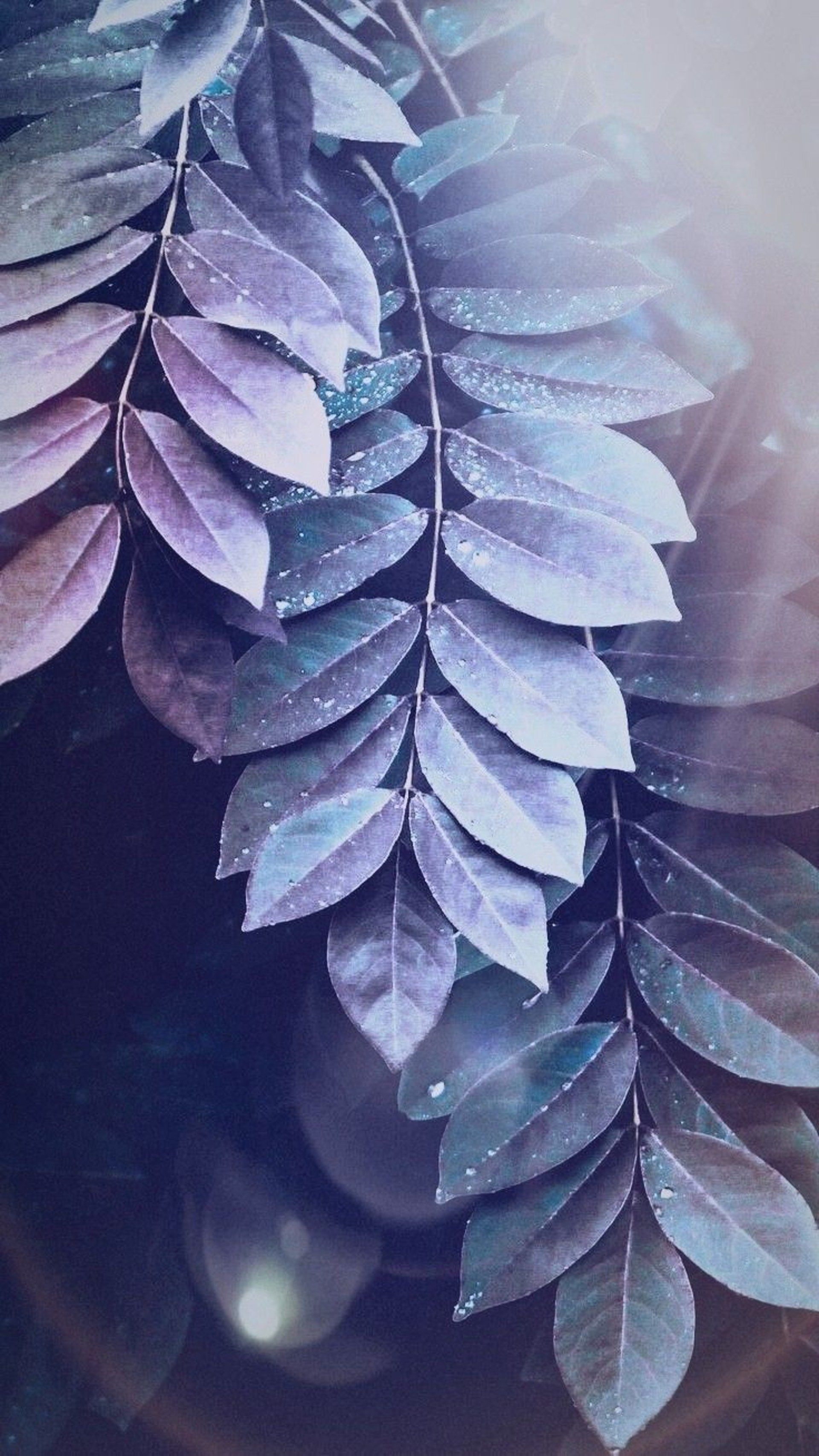 Purple Leaves. Pretty wallpaper iphone, Pretty wallpaper, Aesthetic wallpaper
