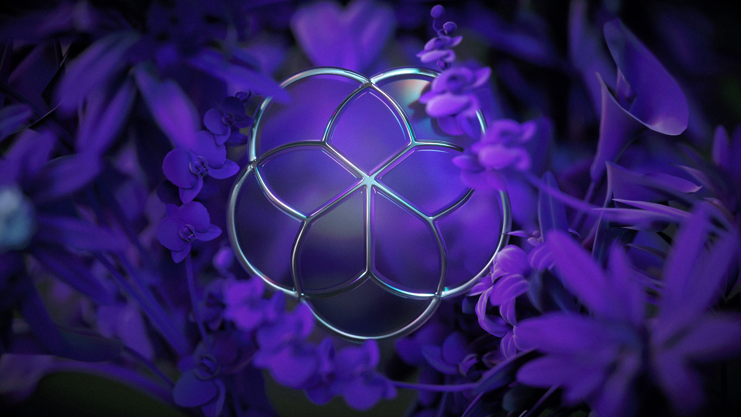 Wallpaper, abstract, flowers, leaves, orchids, purple, glowing 2560x1440