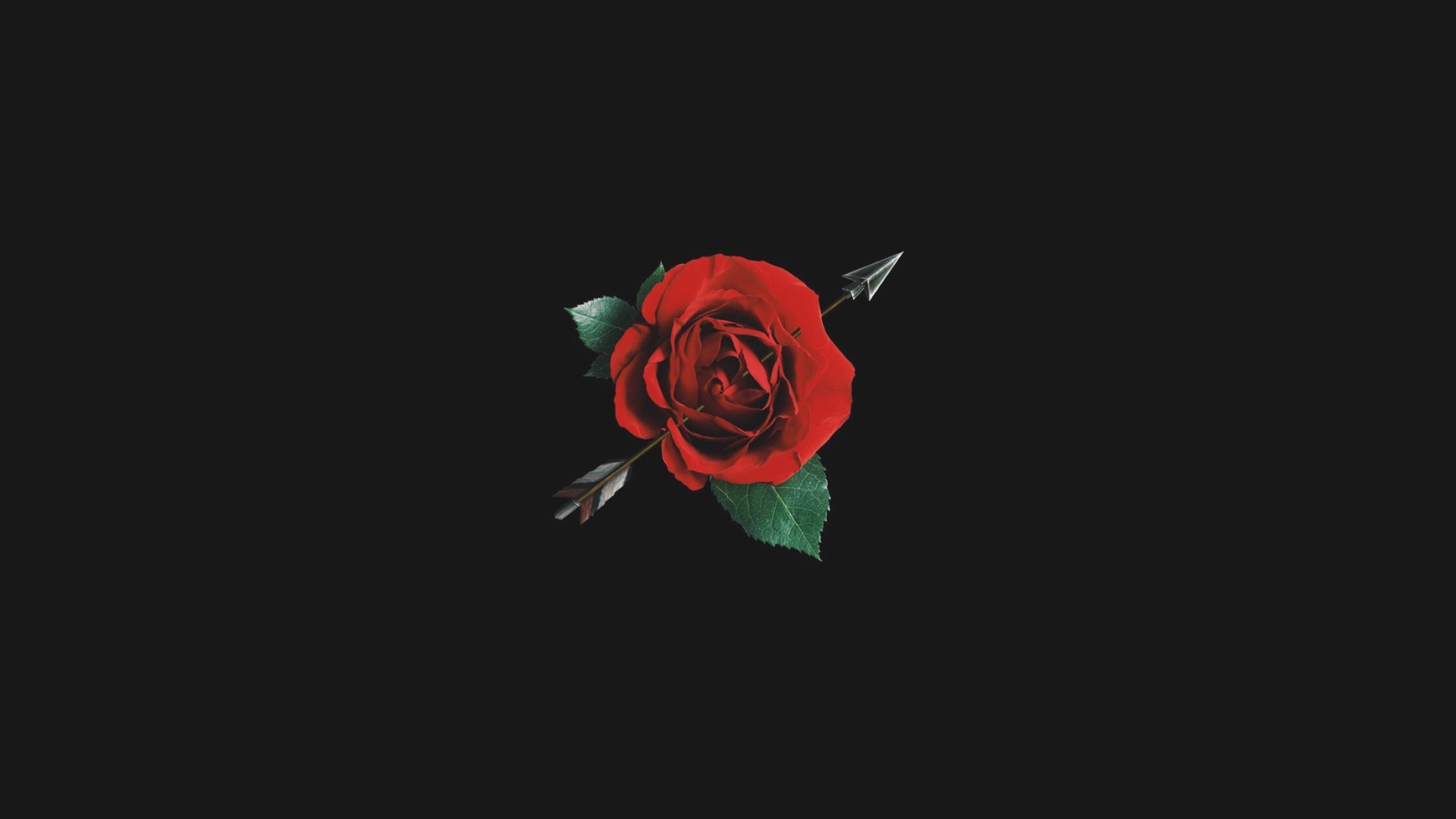 Free download Aesthetic Red Rose With Black Background [2200x3300] for your Desktop, Mobile & Tablet. Explore Red Roses Aesthetic Wallpaper. Red Roses Aesthetic Wallpaper, Red Aesthetic Wallpaper, Wallpaper Red Roses