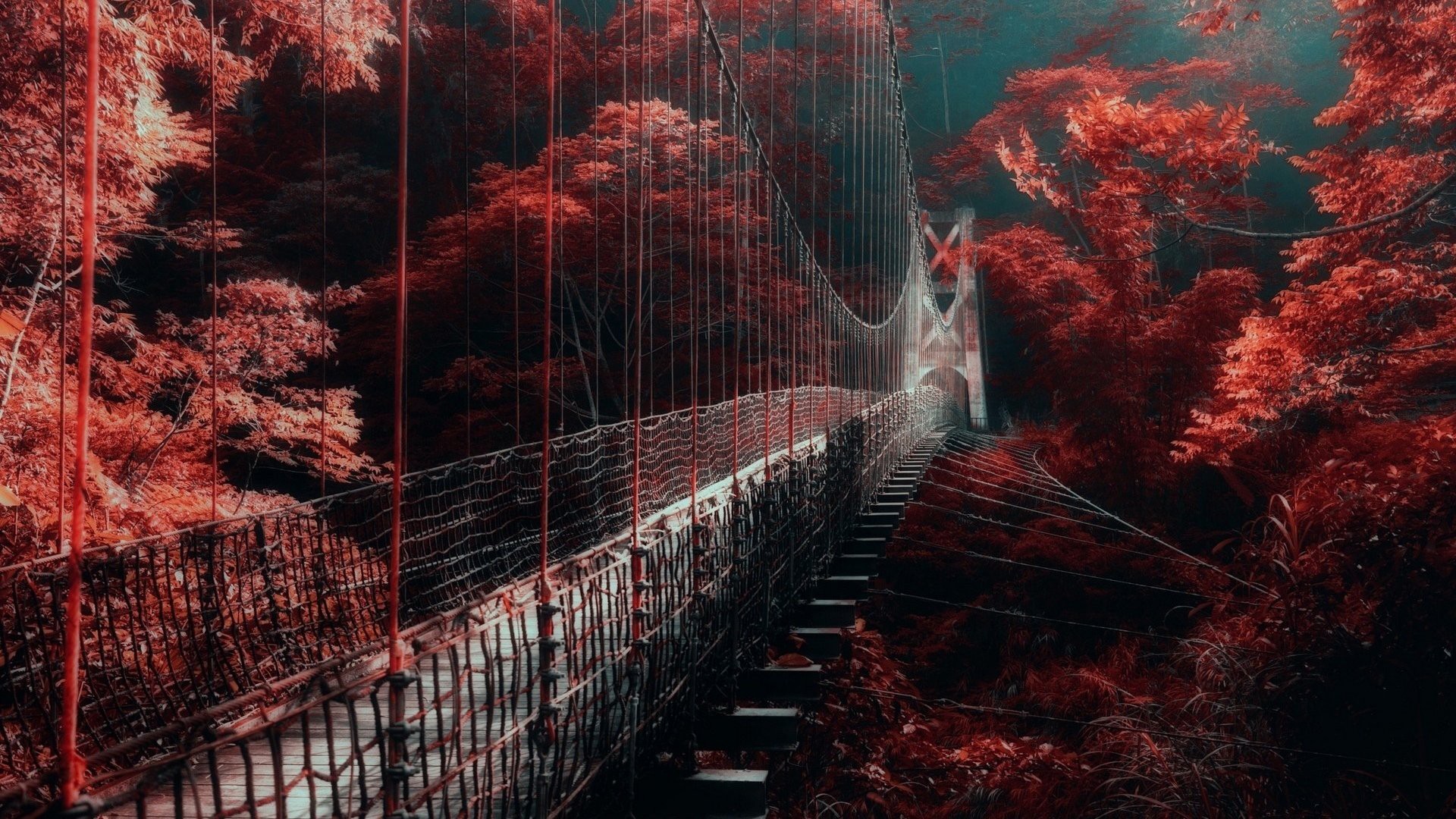 Bridge Between Red Autumn Trees HD Dark Aesthetic Wallpapers.