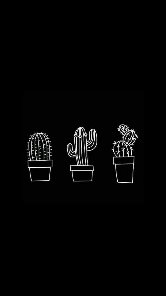 tumblr #black #white #blackandwhite #cactus #kaktüs #aesthetic #wallpaper #background #freetoe. Cute black wallpaper, Black aesthetic wallpaper, Black wallpaper