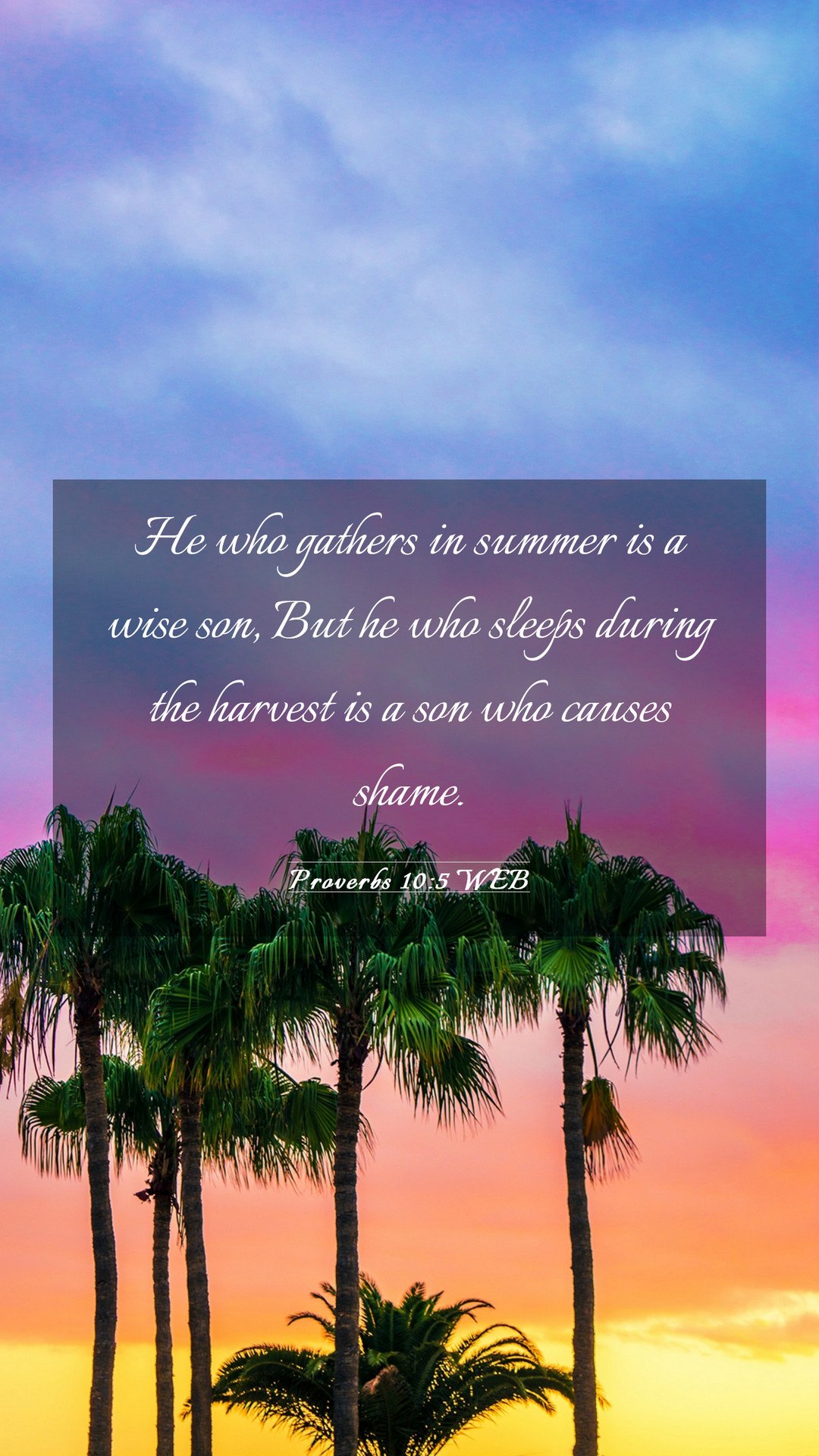 Proverbs 10:5 WEB Mobile Phone Wallpaper who gathers in summer is a wise son, But he