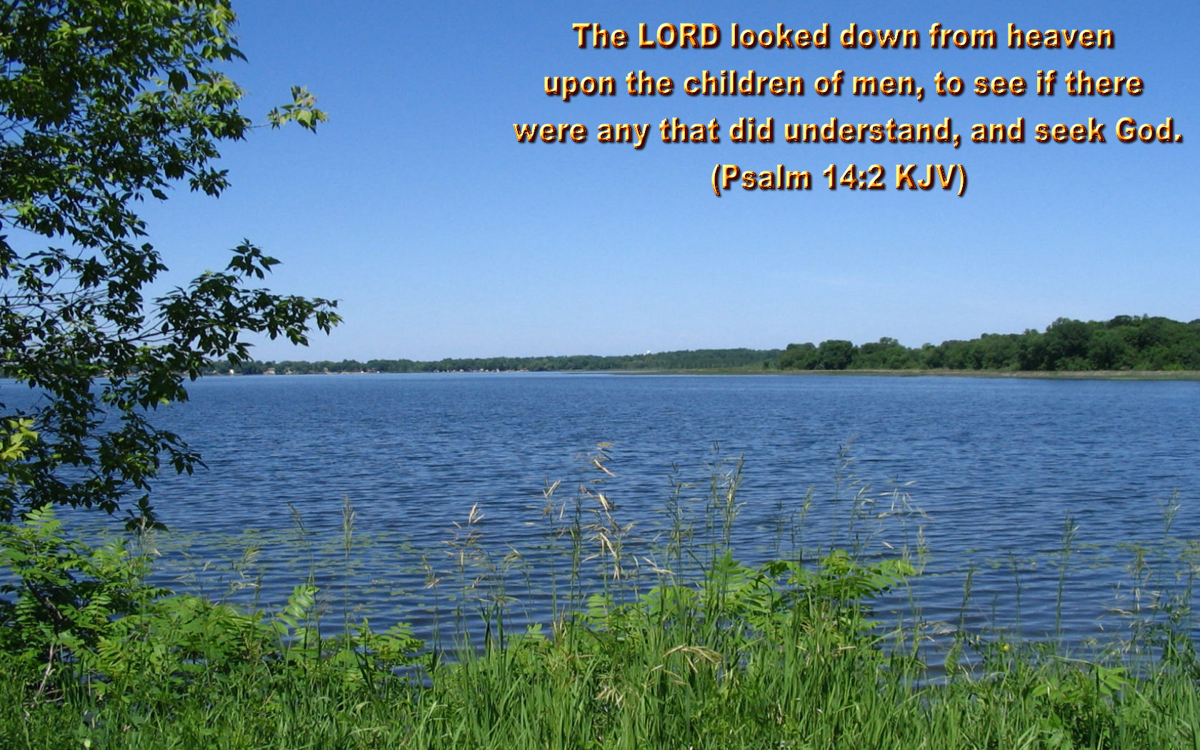 Green lakeshore at summer, Christian Wallpaper With Bible Verses free image download