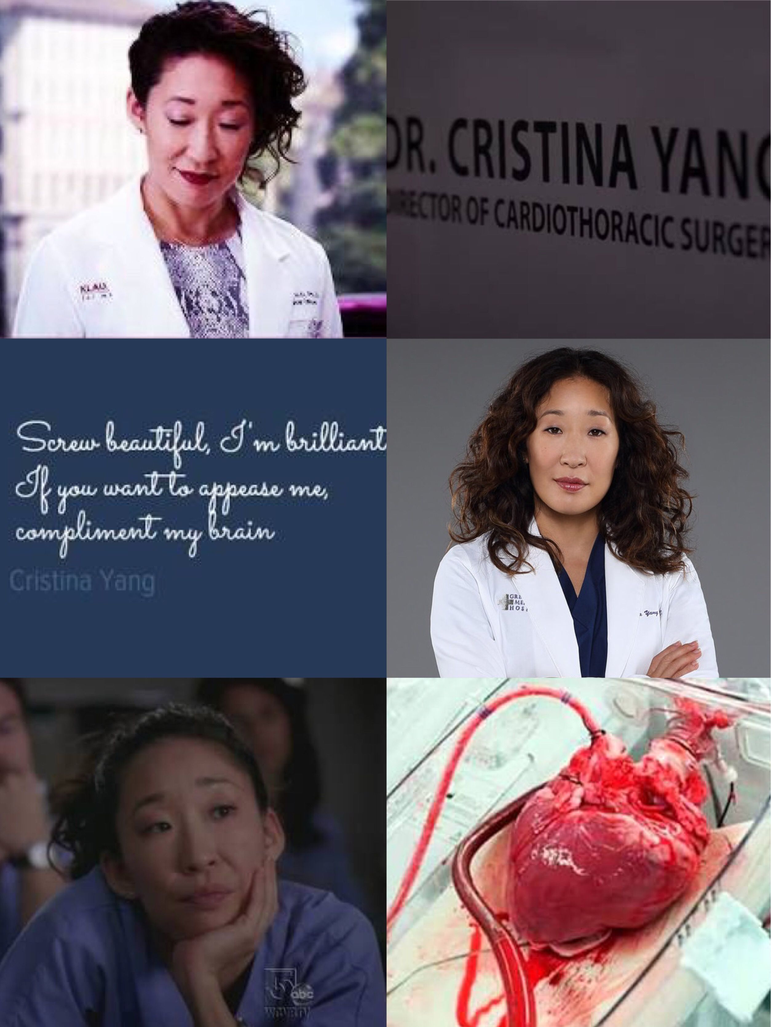 Wallpaper Cristina Yang (Grey's Anatomy). Greys anatomy, Anatomy, Grey's anatomy