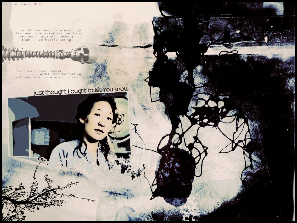Christina Yang. Cristina Yang Wallpaper