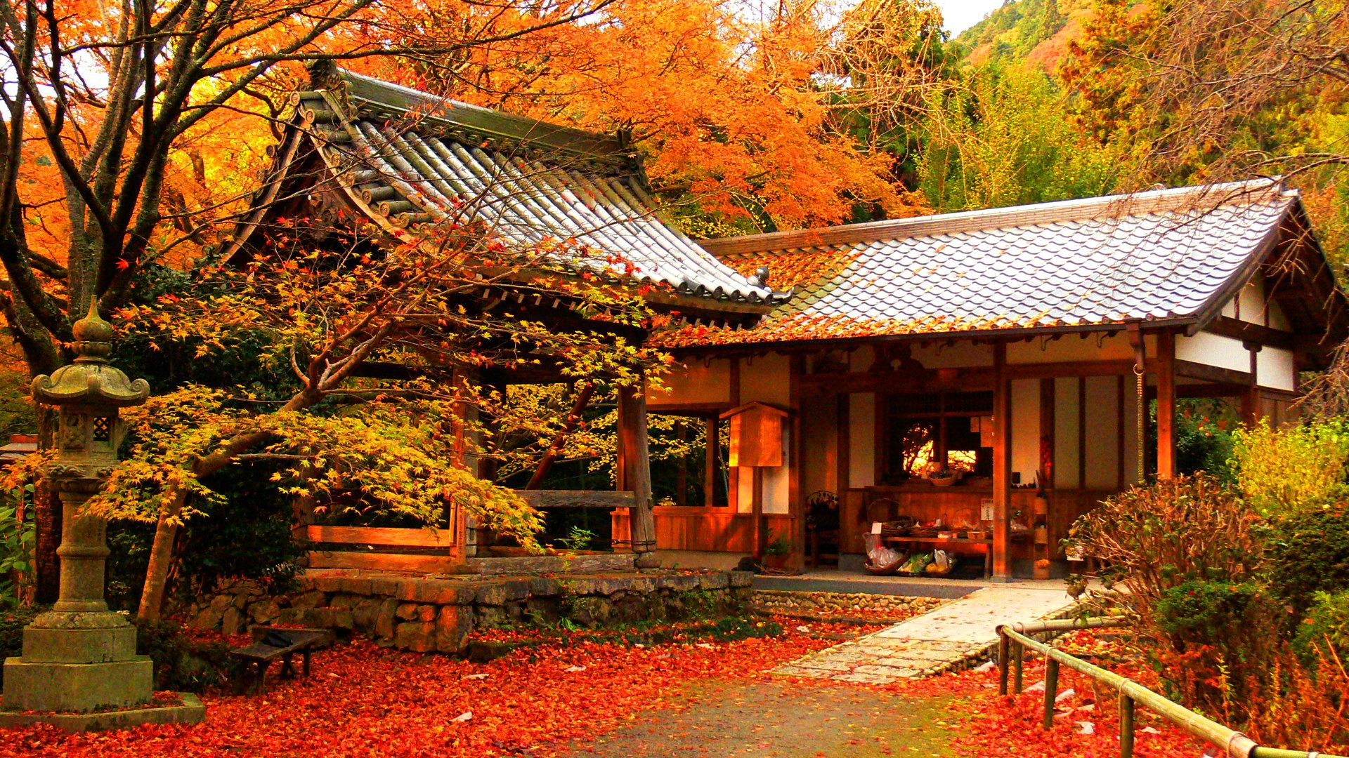 Reasons to Visit Japan in the Autumn
