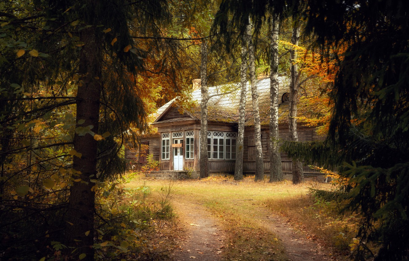 Photo Wallpaper Autumn, Forest, Nature, House Forest House Night