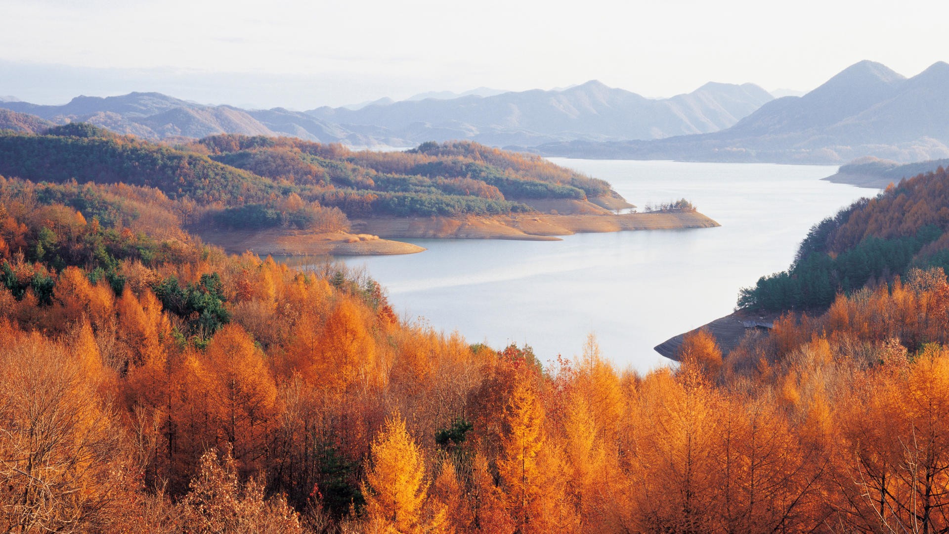 Korea Wallpaper Autumn Design HD Wallpaper