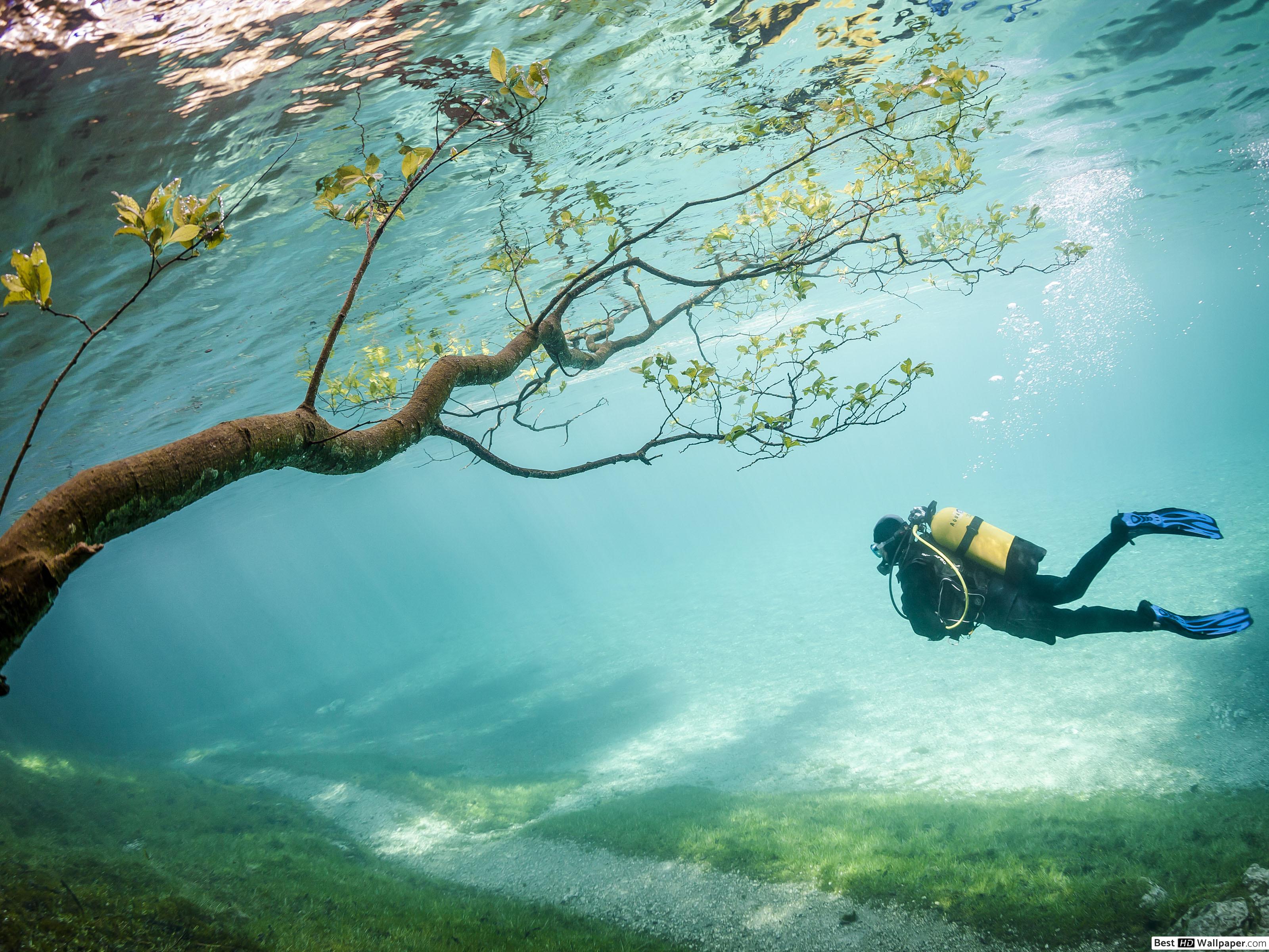 Underwater Scuba Diving HD wallpaper download