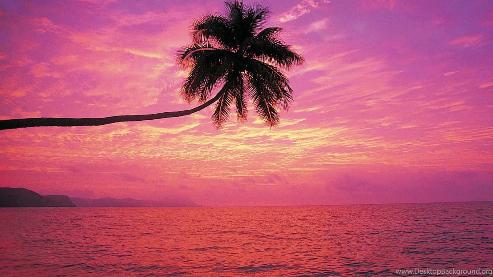 Wallpaper Kerala Nature Beauty Desktop Background