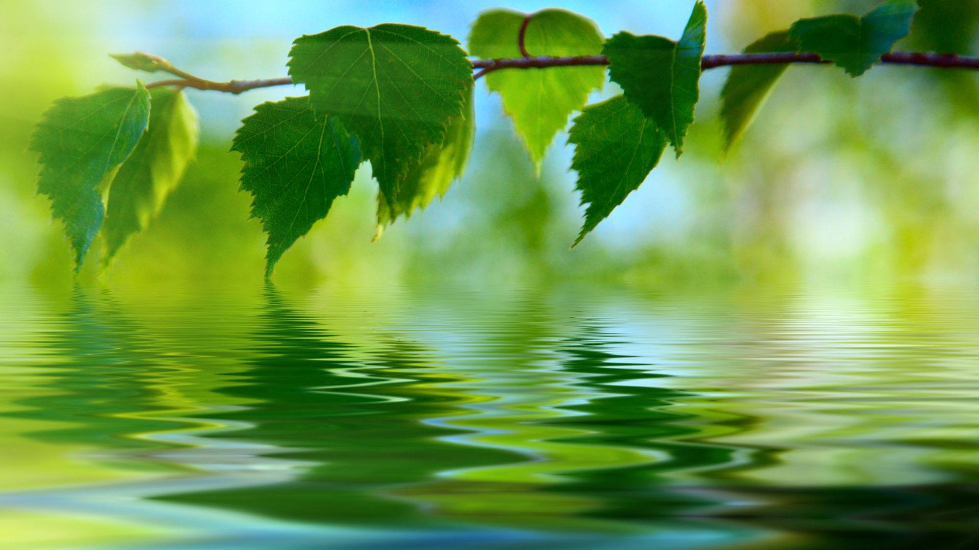 Kerala Wallpaper