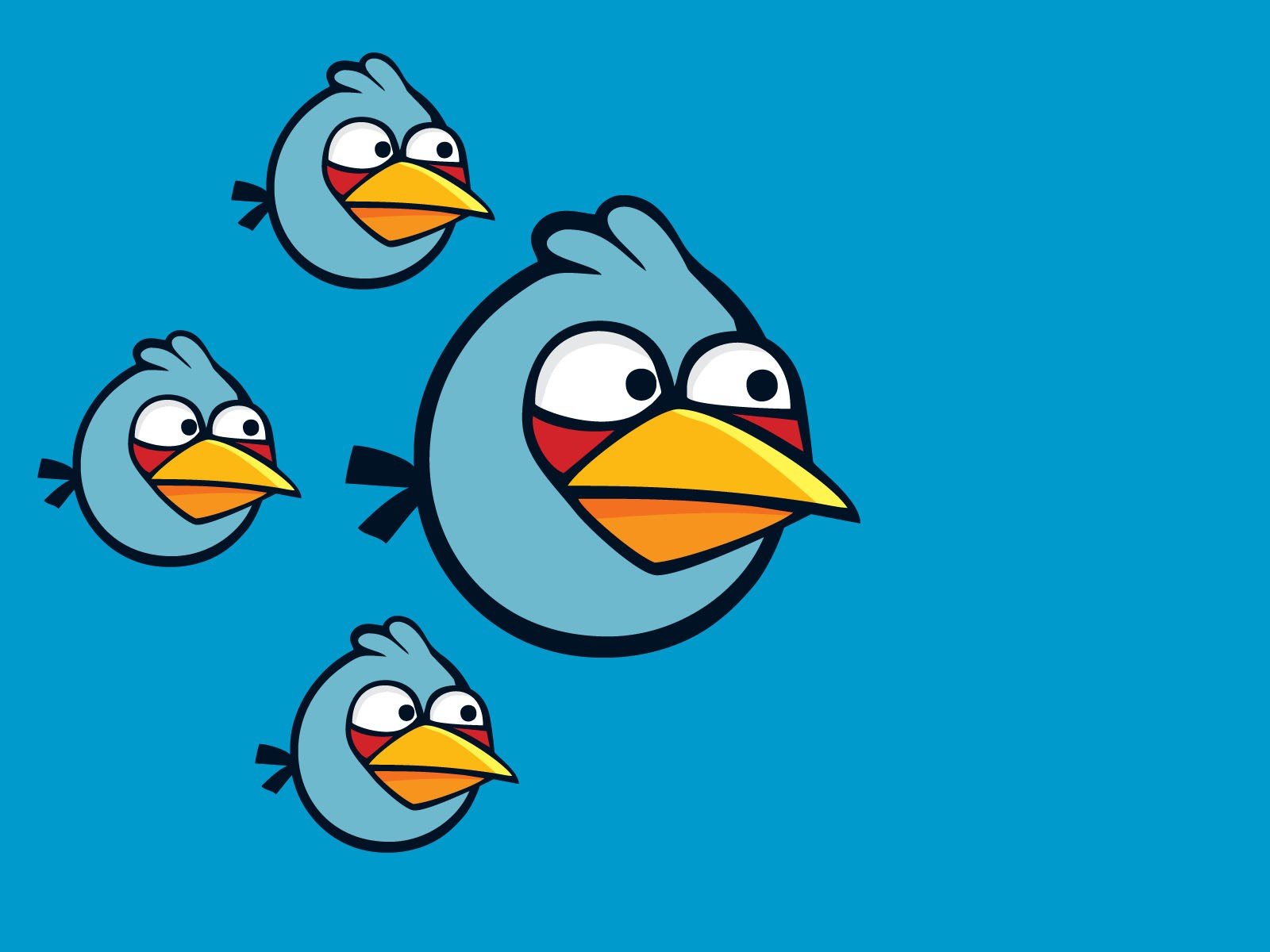blue, Freedom, Angry, Angry, Birds, Simple, Background, Blue, Bird Wallpaper HD / Desktop and Mobile Background