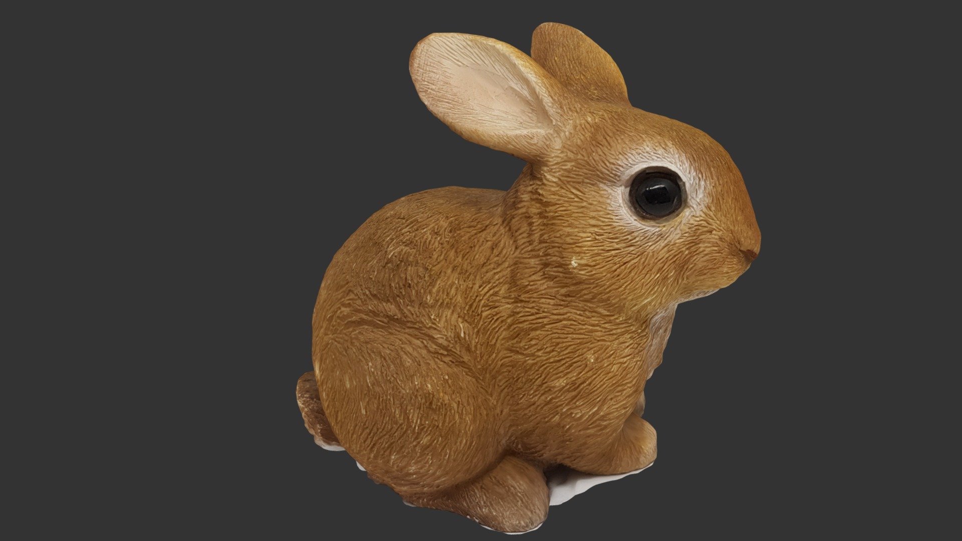 Netherland Dwarf Rabbit model by shanteltay [079eecd]
