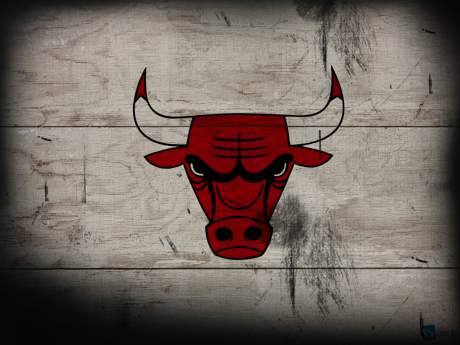 Chicago Bulls Logo Wallpaper HD