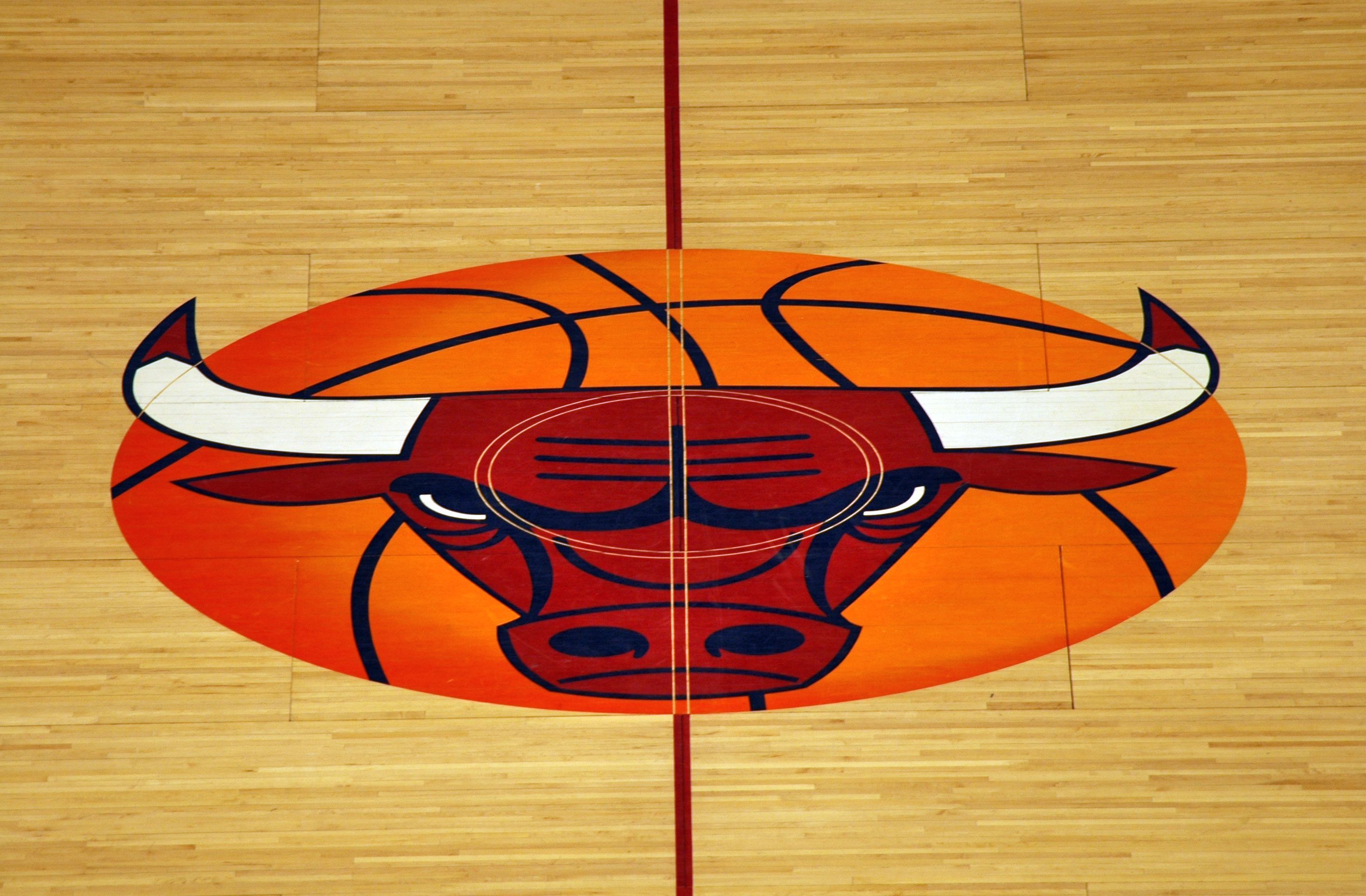 Chicago Bulls Logo wallpaper 46947