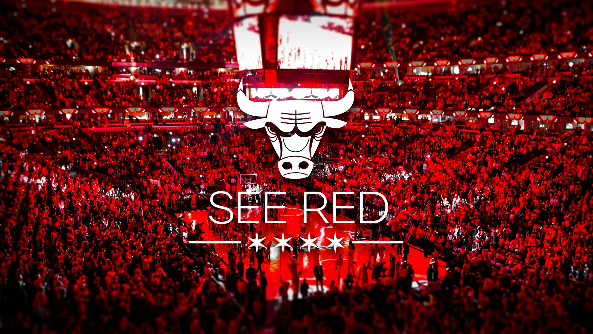 Chicago Bulls Wallpaper Free Download Bulls Pc Background HD Wallpaper