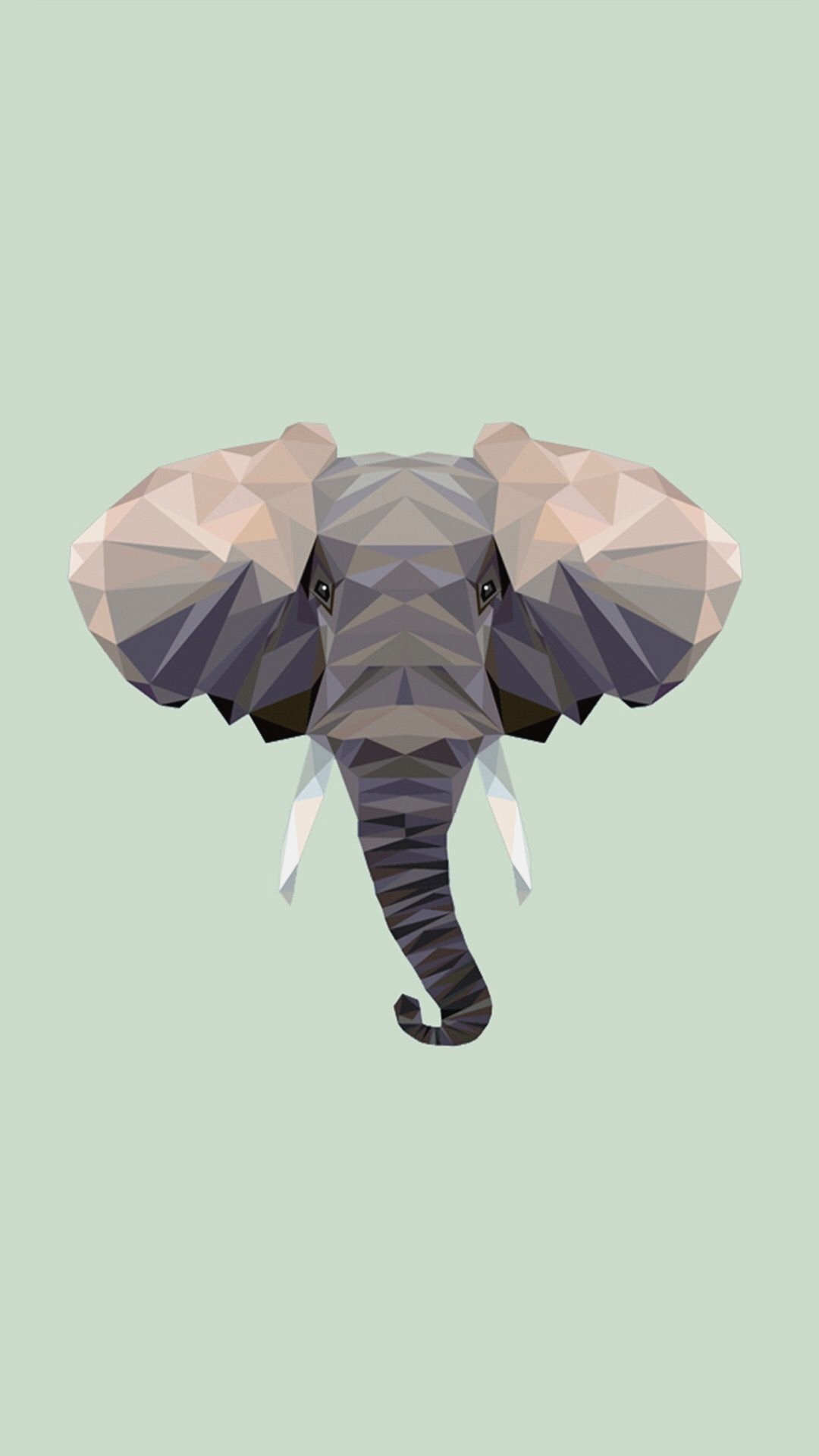Elephant iPhone Background