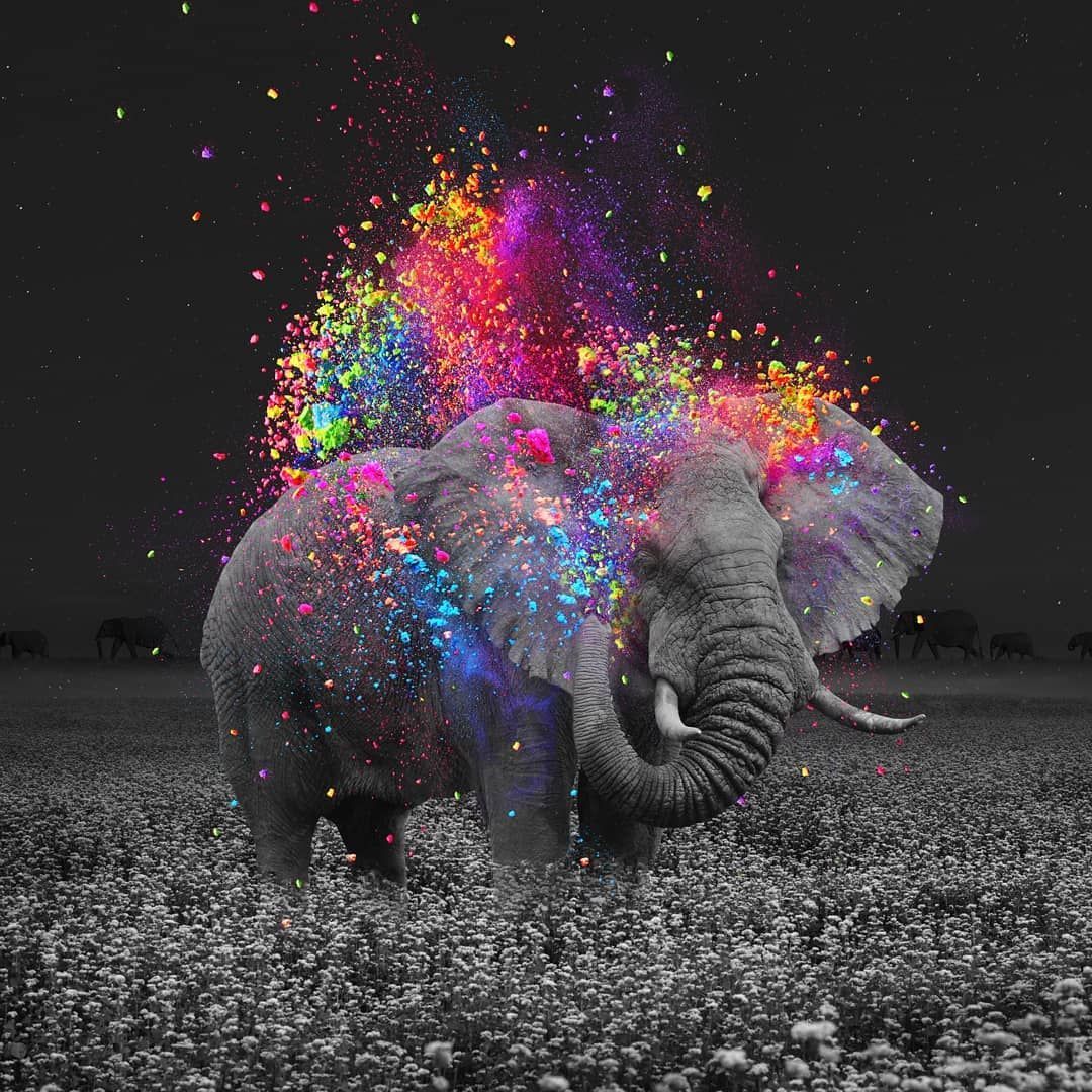 Cute Elephant Aesthetic Wallpapers - Wallpaper Cave