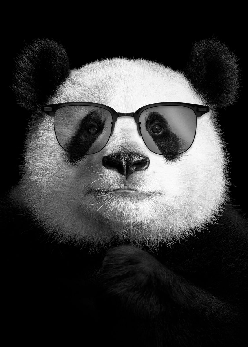Cool panda poster ' Poster