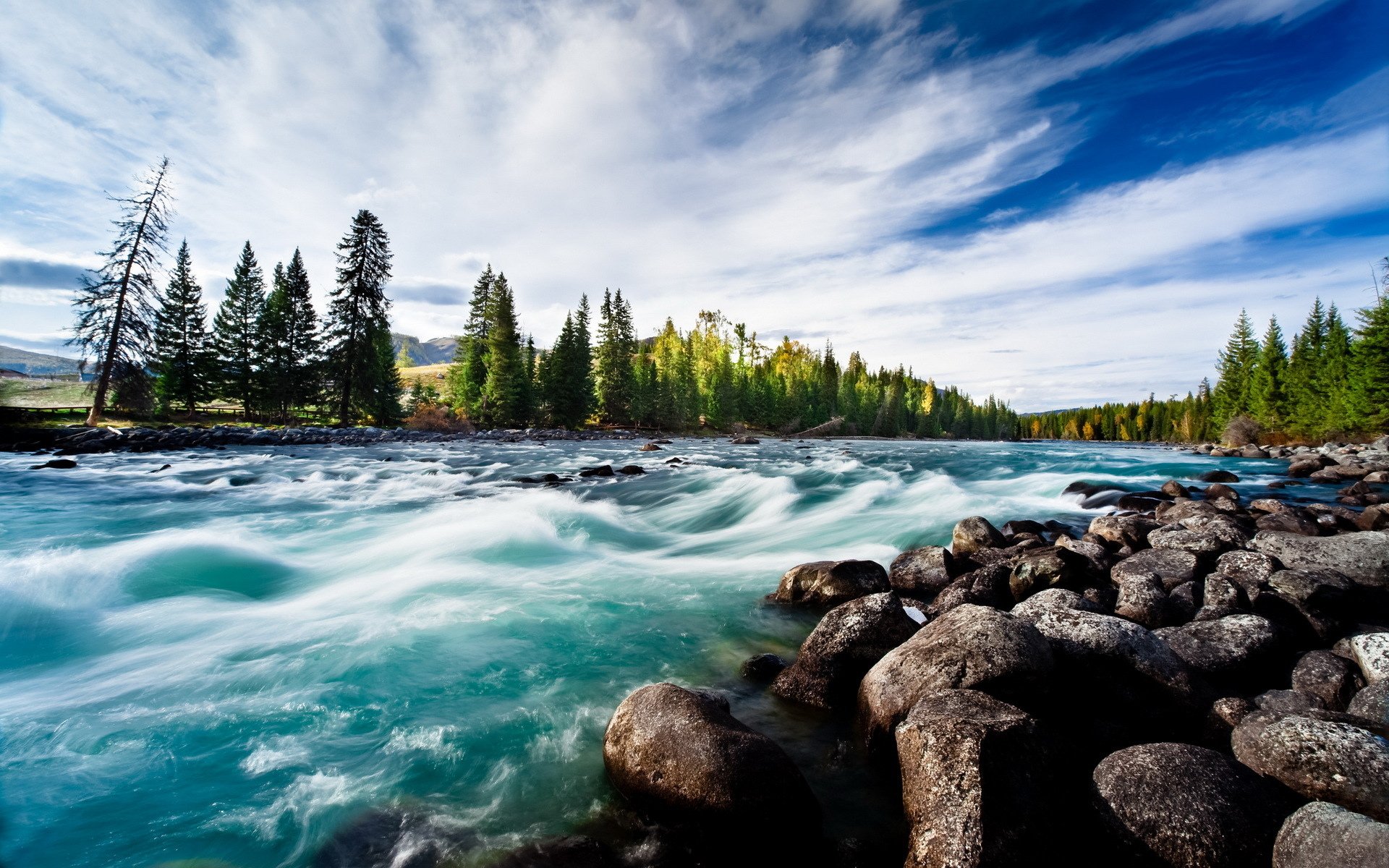 River clean water round stones blue sky fan of clouds trees pine wallpaperx1200