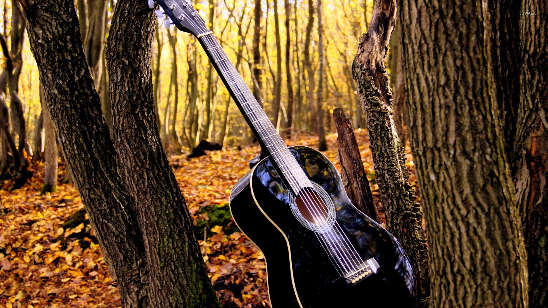 Cool Country Guitar Wallpaper In The Forest Picture. Forest wallpaper, Music wallpaper, Desktop wallpaper background