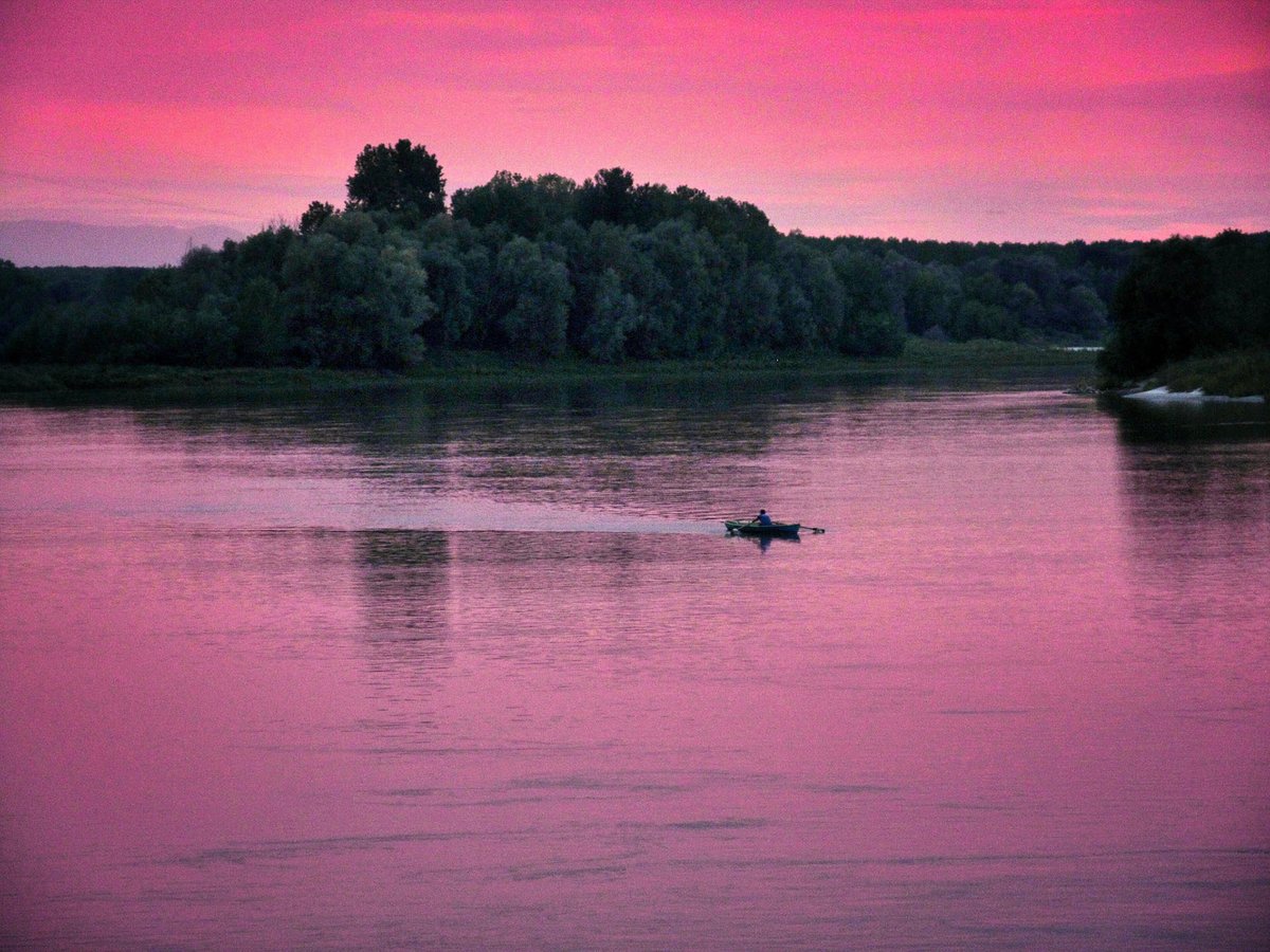 HD Wallpaper by Franco P. #pink #sky #trees #boat #river #dusk #beautiful #landscape #wallpaper #HDwallpaper #photography