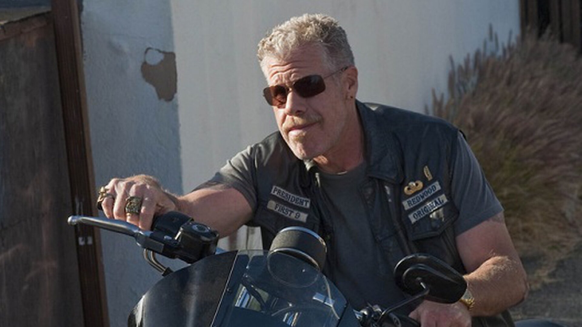 Ron Perlman Cast as Optimus Primal in TRANSFORMERS: RISE OF THE BEASTS