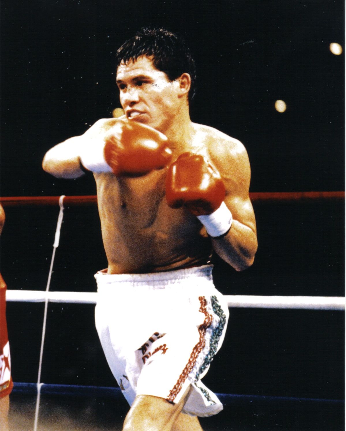 Julio Cesar Chavez World Boxing Champion Mexico. Boxing image, Boxing champions, World boxing