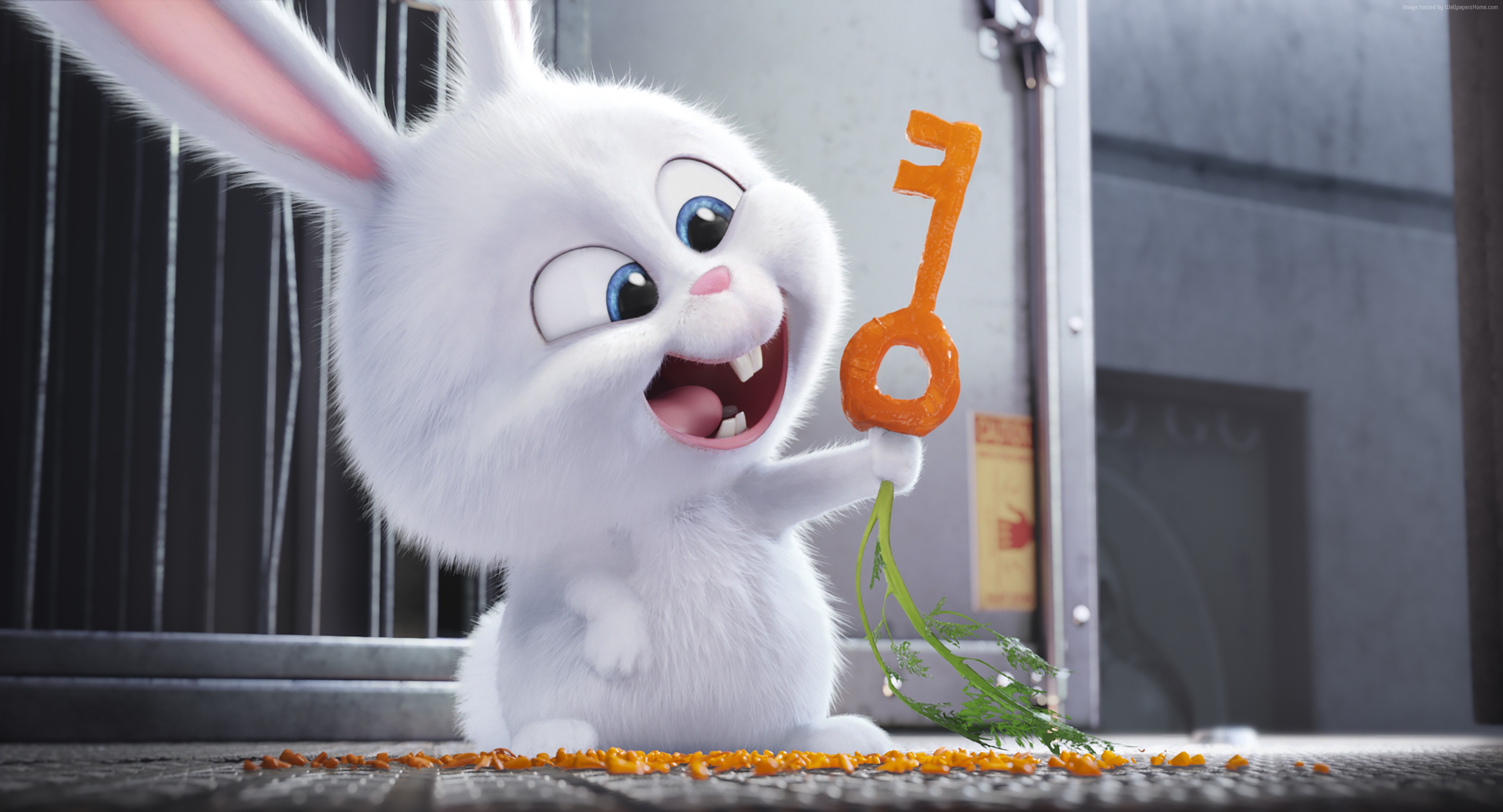 #cartoon, #rabbit, #Best Animation Movies of #The Secret Life of Pets. Mocah HD Wallpaper