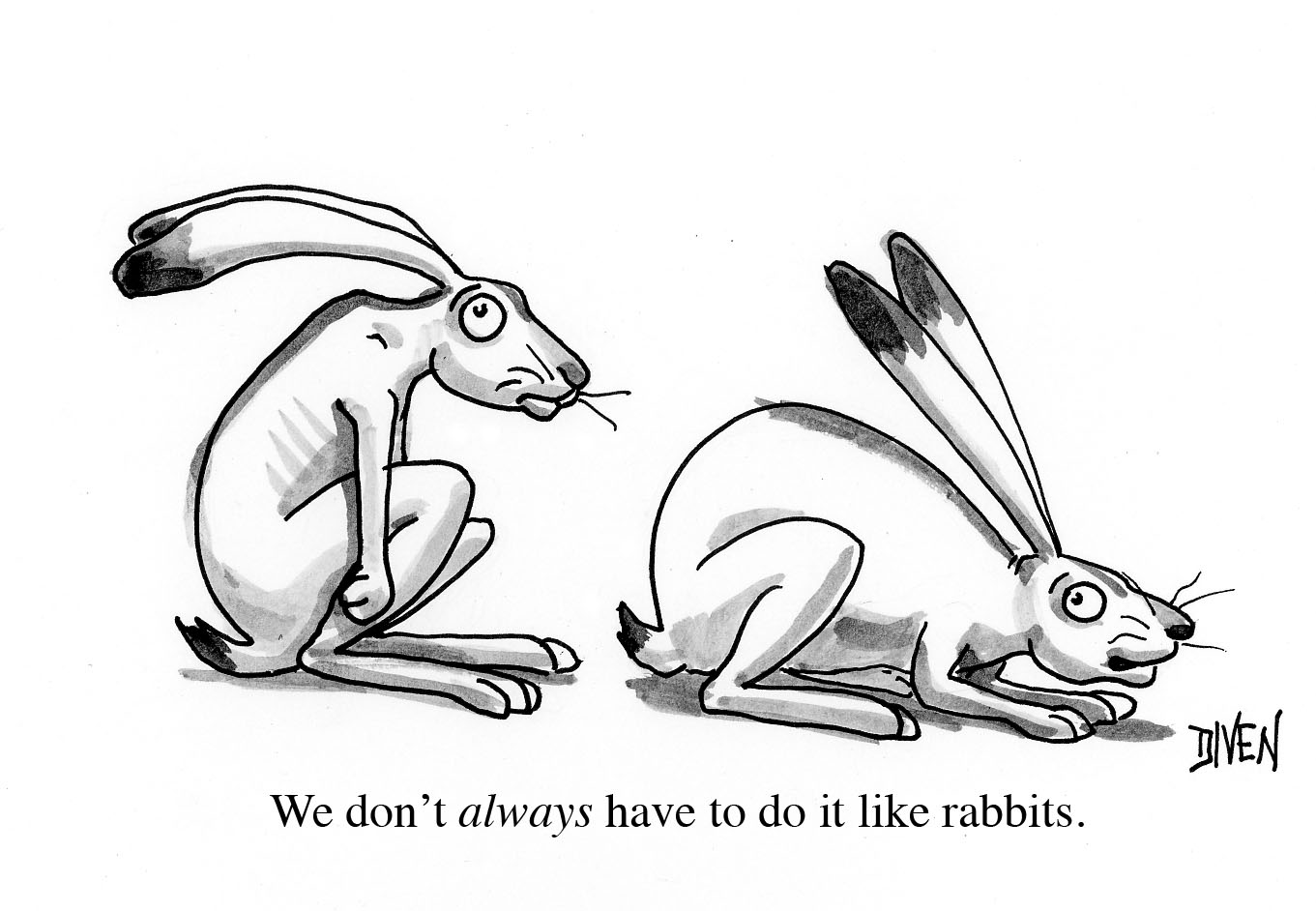 Заяц карикатура