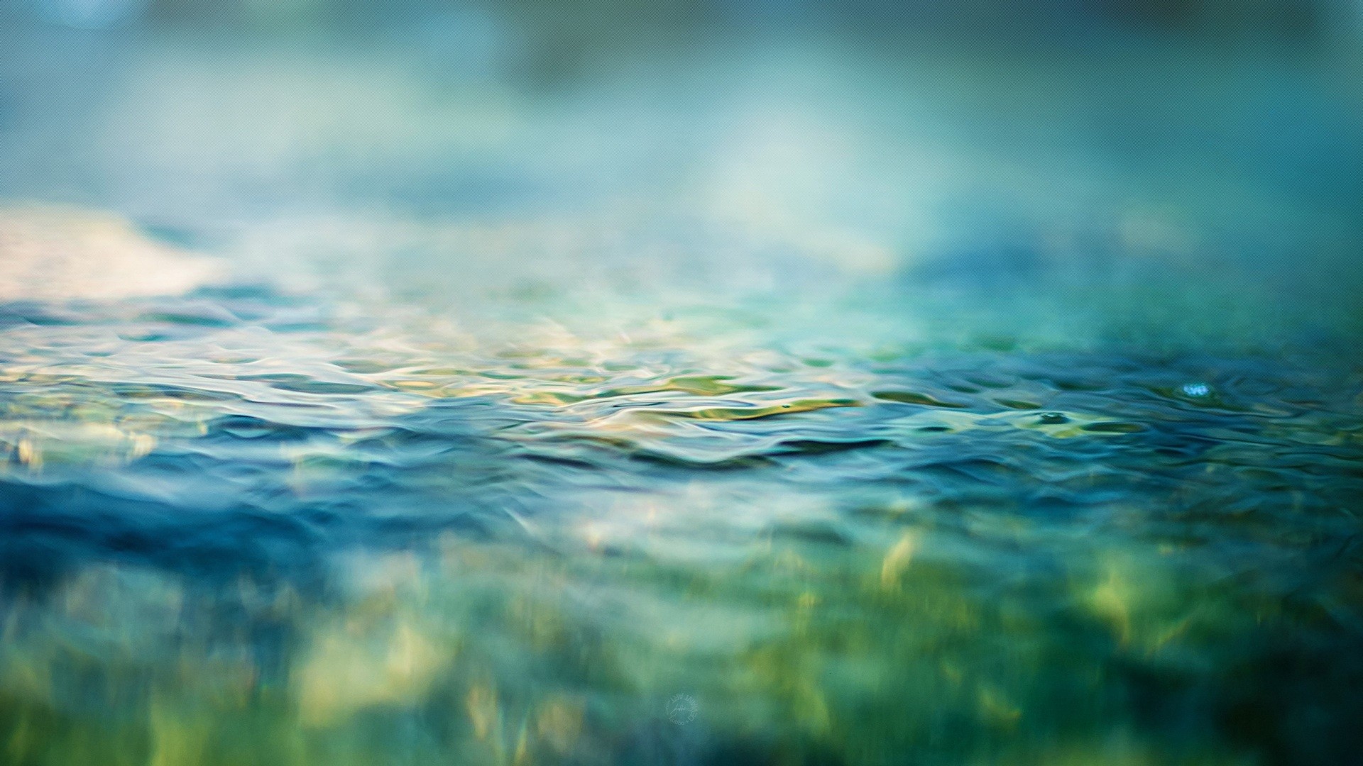 Wallpaper, sunlight, Photohop, sea, water, nature, reflection, grass, sky, green, blue, morning, underwater, horizon, atmosphere, light, cloud, ocean, computer wallpaper, wind wave, macro photography 1920x1080 Wallpaper