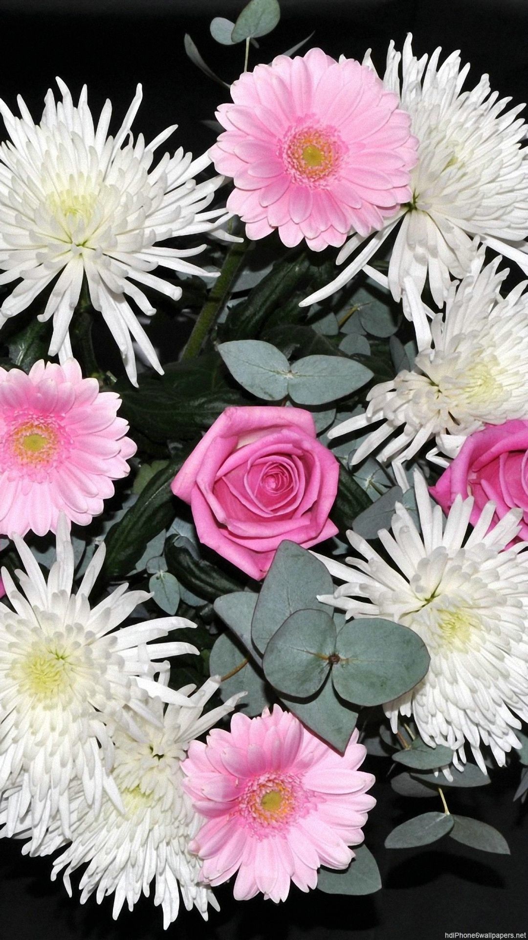 Rose Wallpaper for iPhone