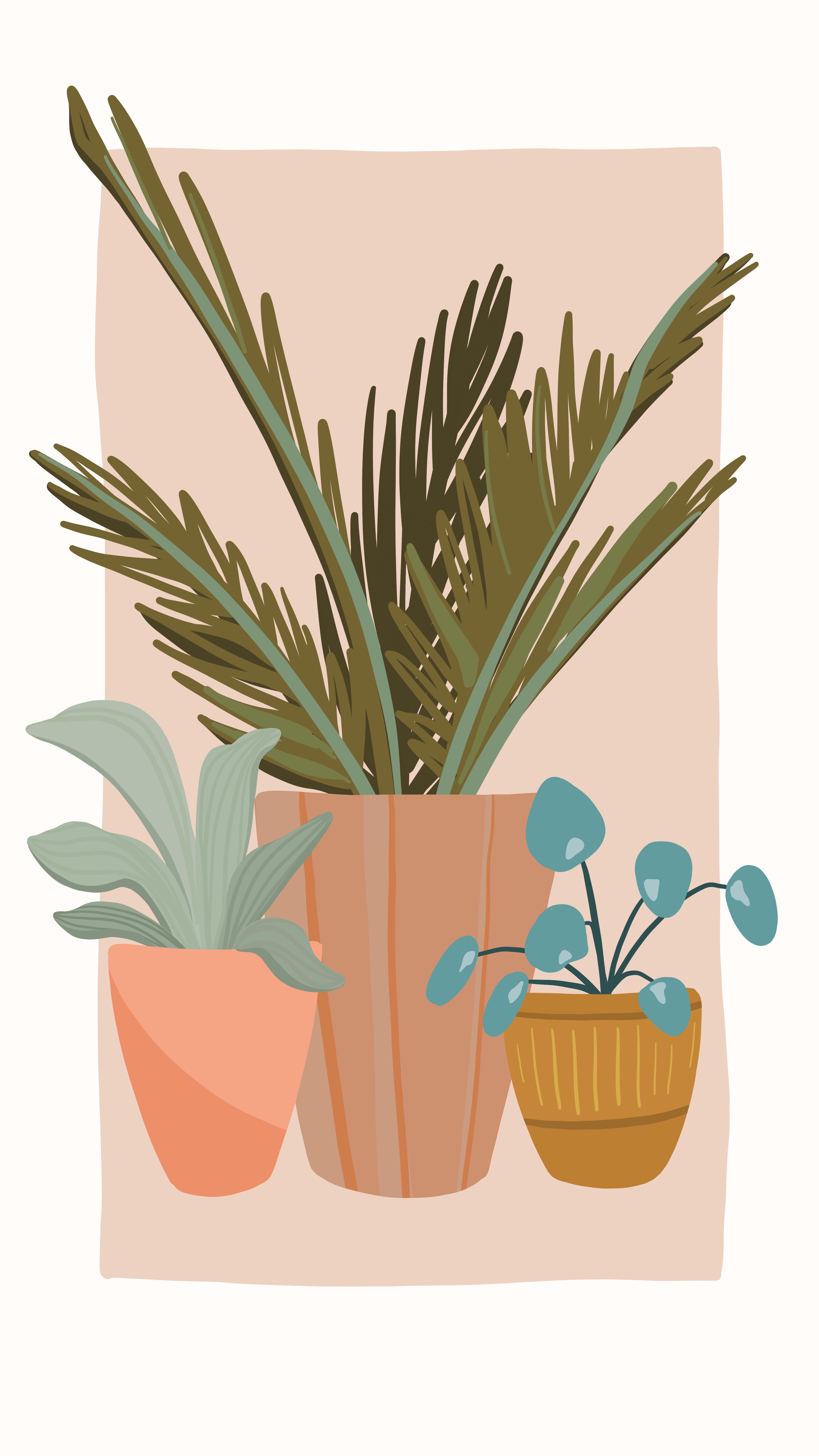 My May Flowers: a daily drawing challenge. Potted plants, fern, succulents, aloe, pottery, greenery, illustration, i. Plant drawing, Plant illustration, Plant art