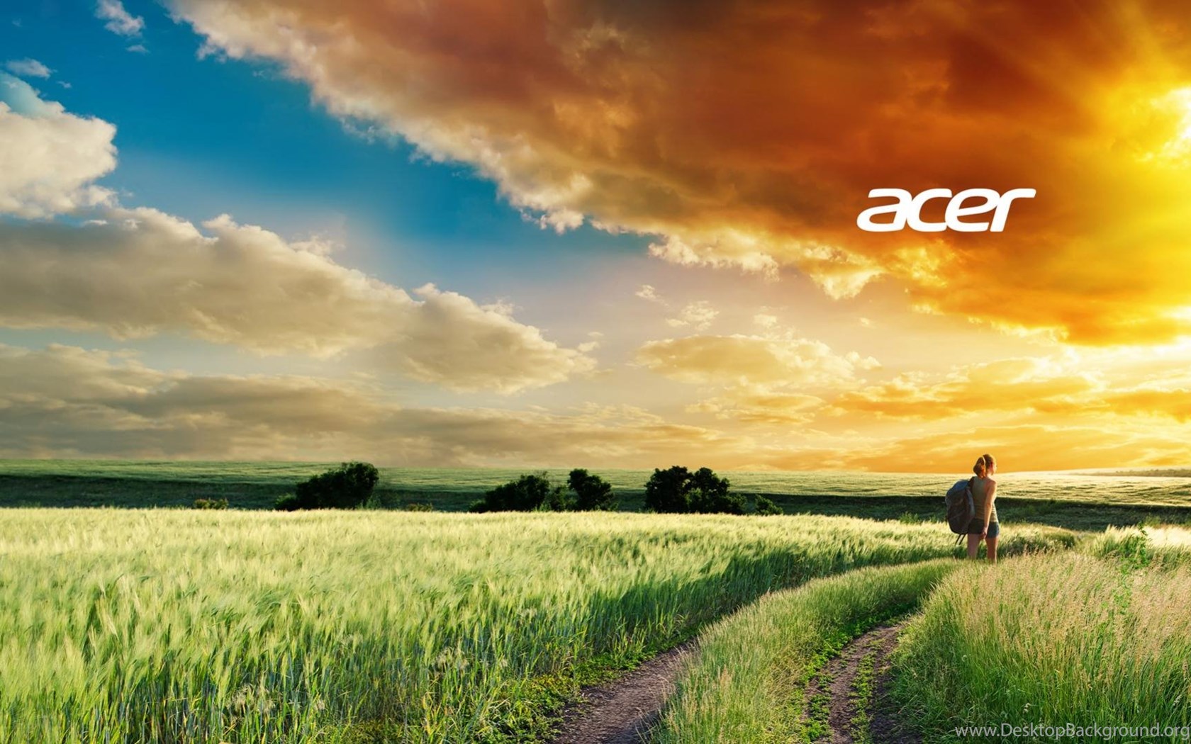 Acer HD Wallpaper Desktop Background
