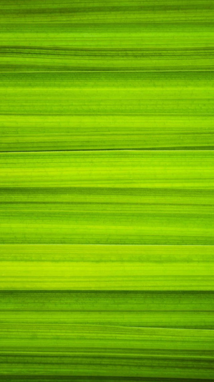 Яркие полоски зеленые
