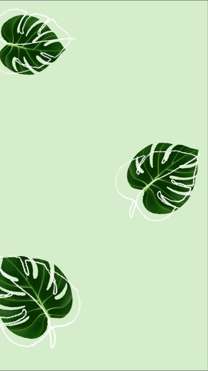 Wallpaper. iPhone wallpaper green, Leaves wallpaper iphone, Simple iphone wallpaper
