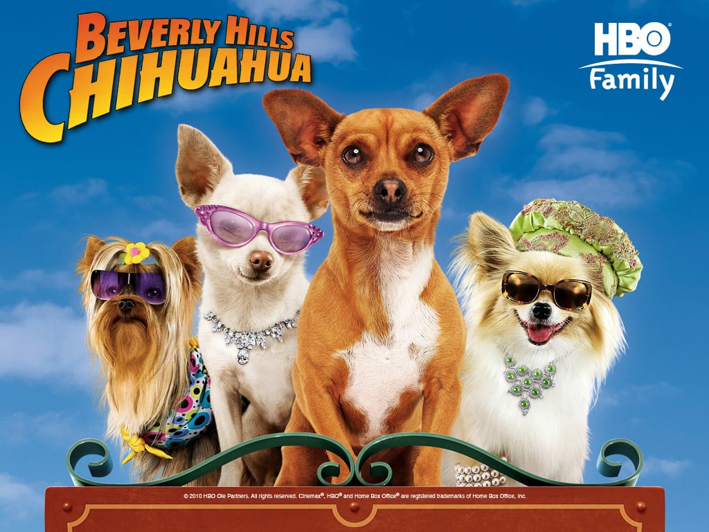 Beverly Hills Chihuahua Hills Chihuahua Wallpaper