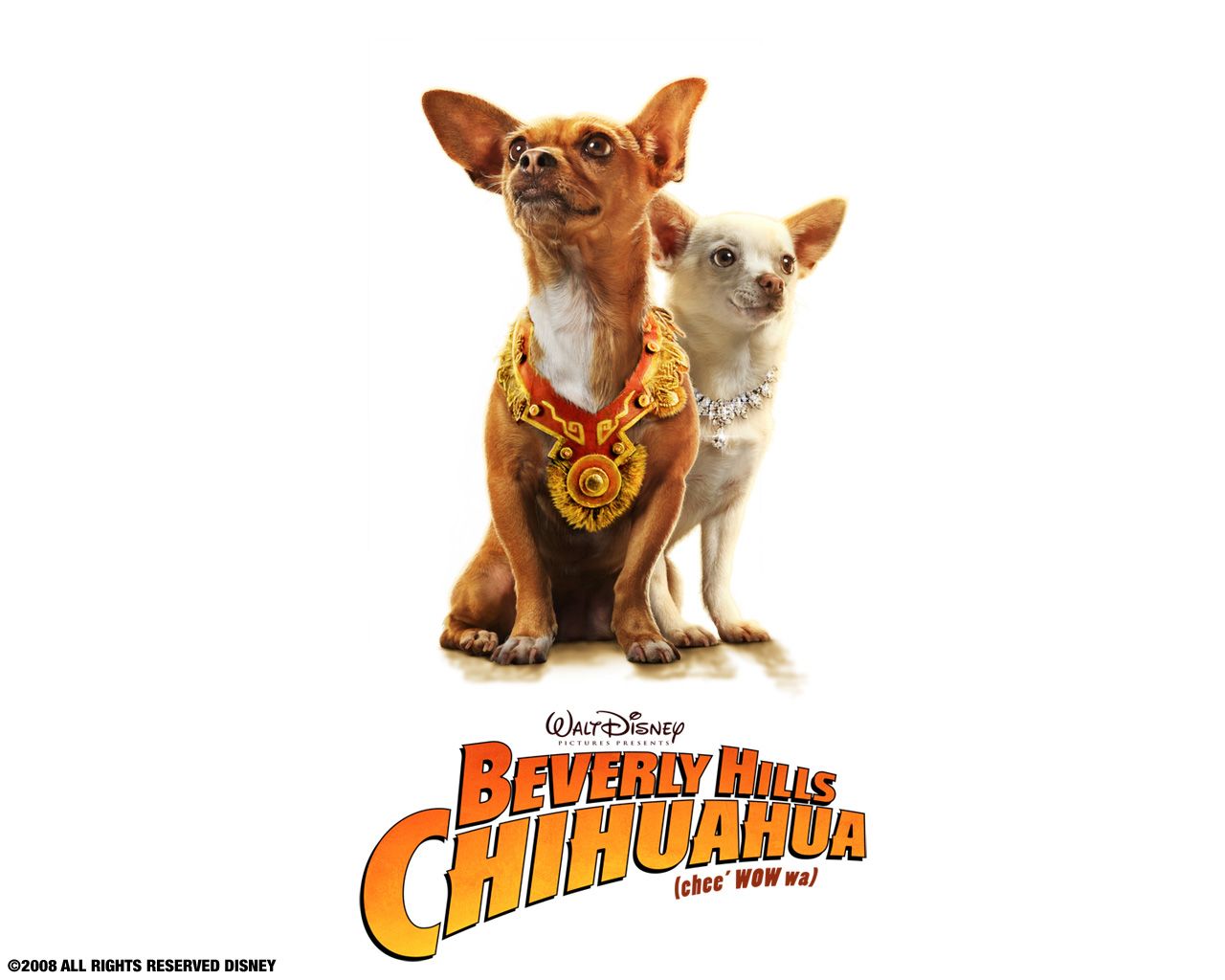 Watch Streaming HD Beverly Hills Chihuahua, starring Drew Barrymore, George Lopez, Piper Perabo, Manolo Cardona. Beverly hills chihuahua, Chihuahua, Beverly hills