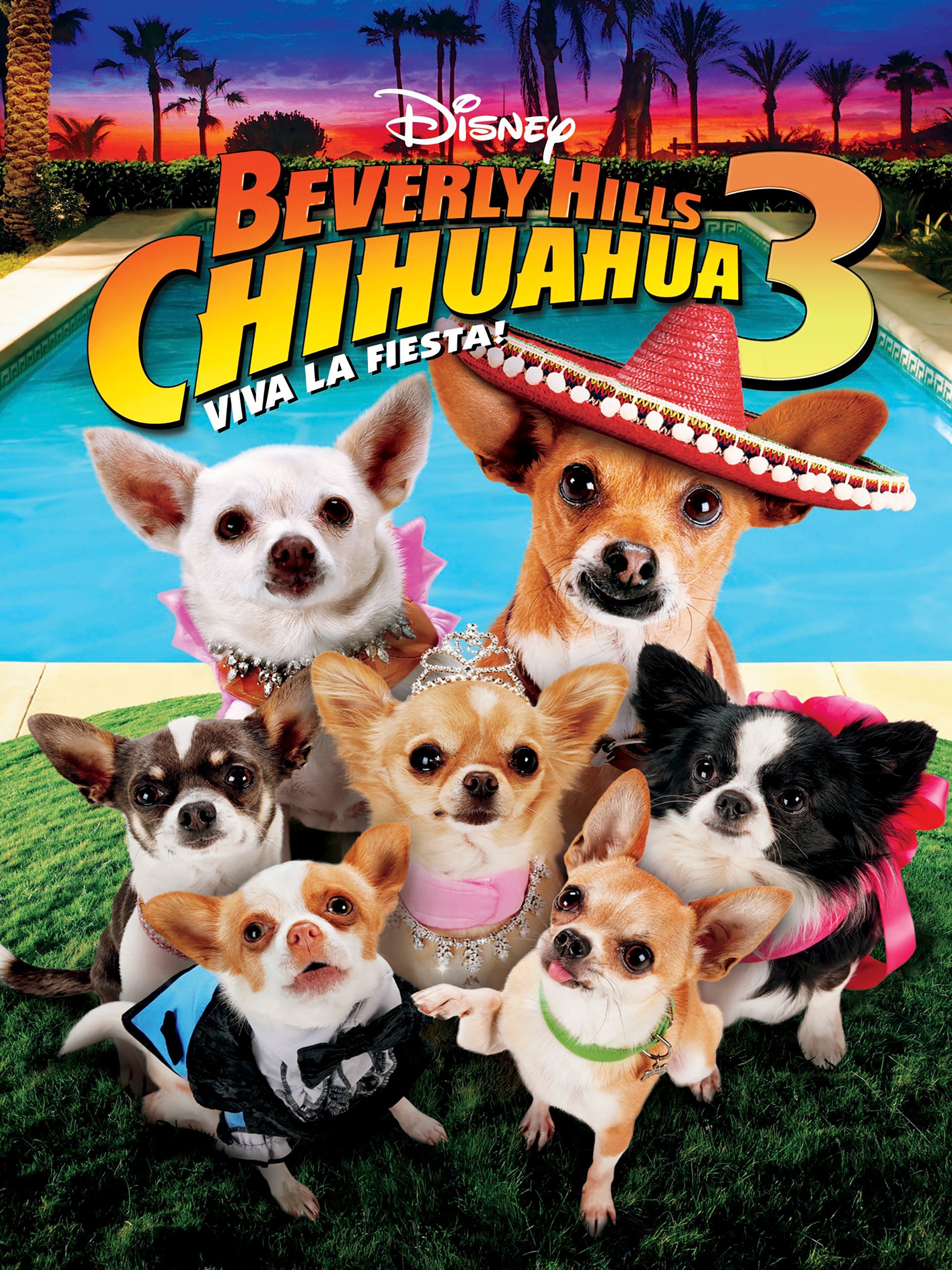 Watch Beverly Hills Chihuahua 3: Viva La Fiesta!
