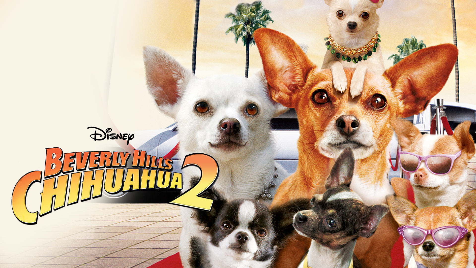 Watch Beverly Hills Chihuahua 3: Viva La Fiesta!